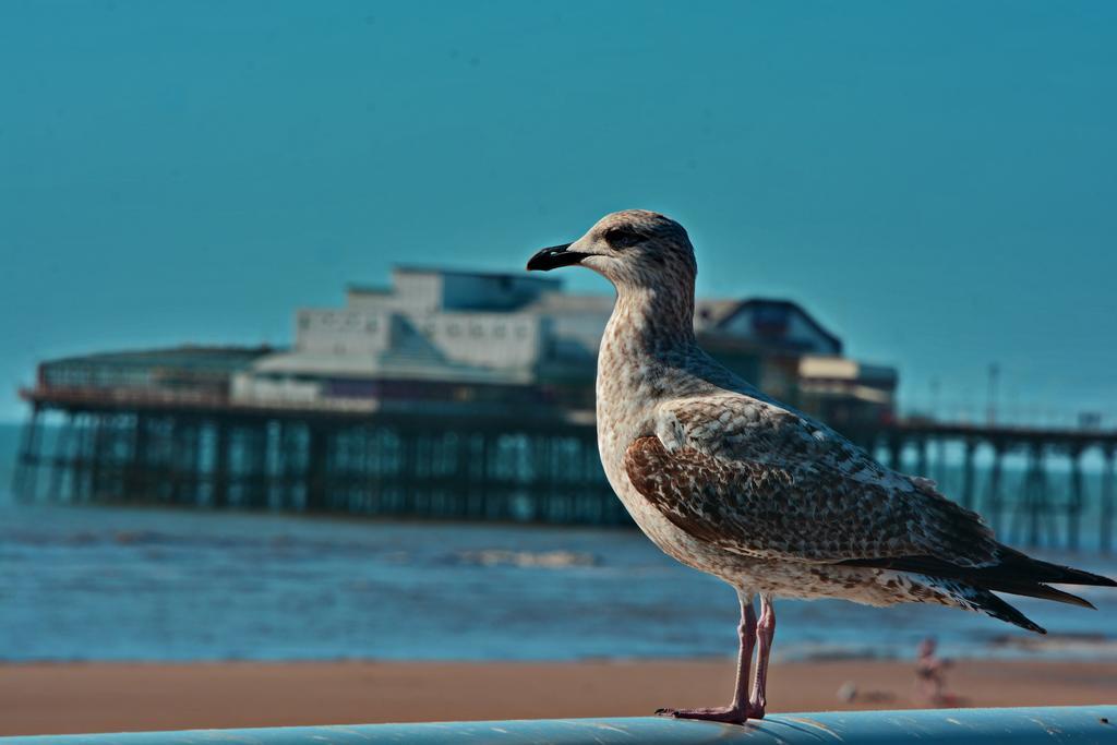 The Derby Hotel Blackpool Luaran gambar
